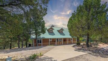 A cabin with a green roof, surrounded by trees, and a gravel driveway.