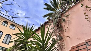 A building with a pink facade, a brick wall, and a plant with long green leaves.