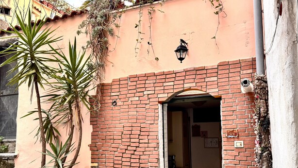 A brick building with a door leading to an interior space. There are potted plants outside, and a small red mat at the entrance.