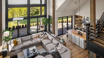 TV, fireplace, video games, books