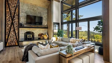 TV, fireplace, video games, books