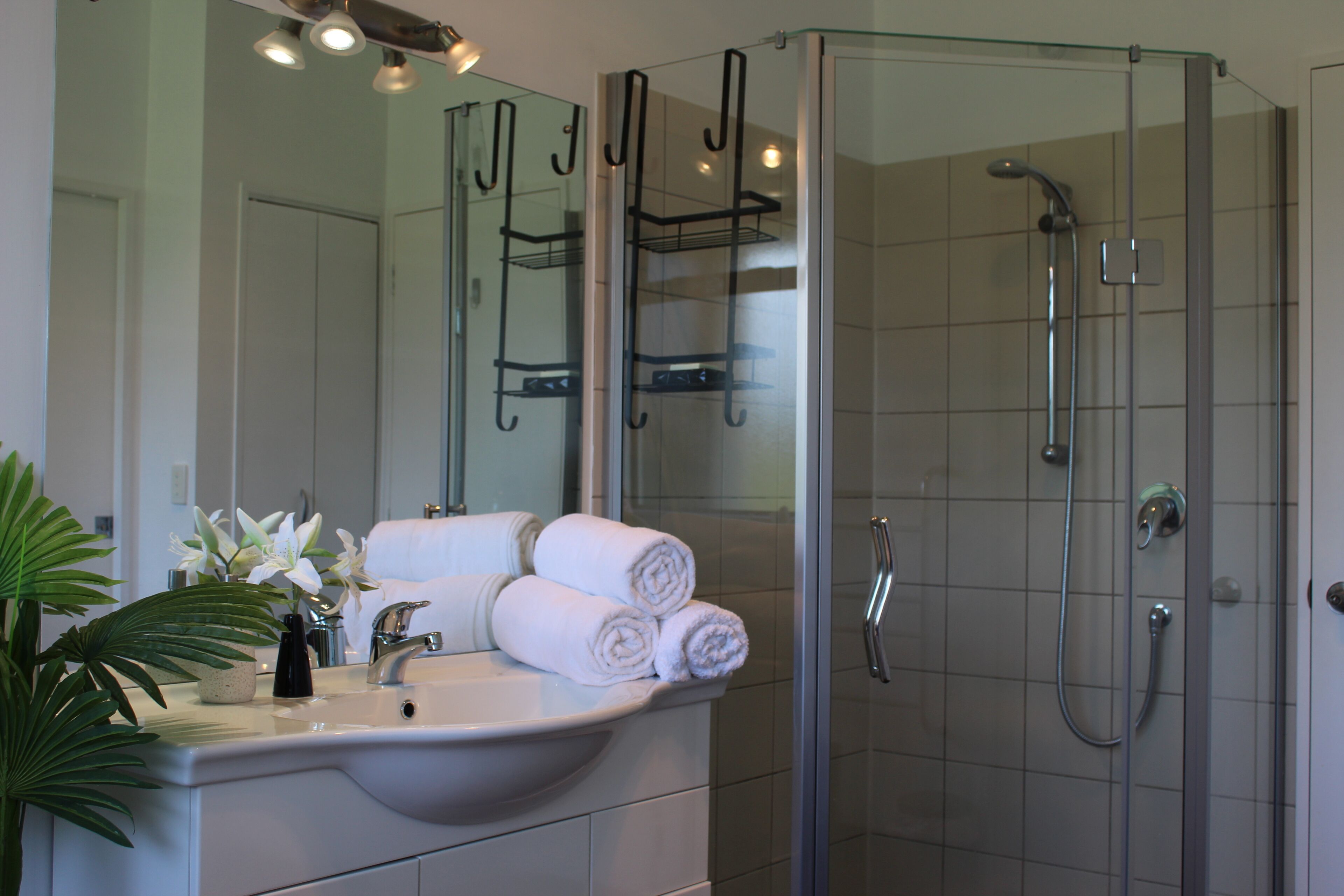 Jetted bath, hair dryer, towels, soap