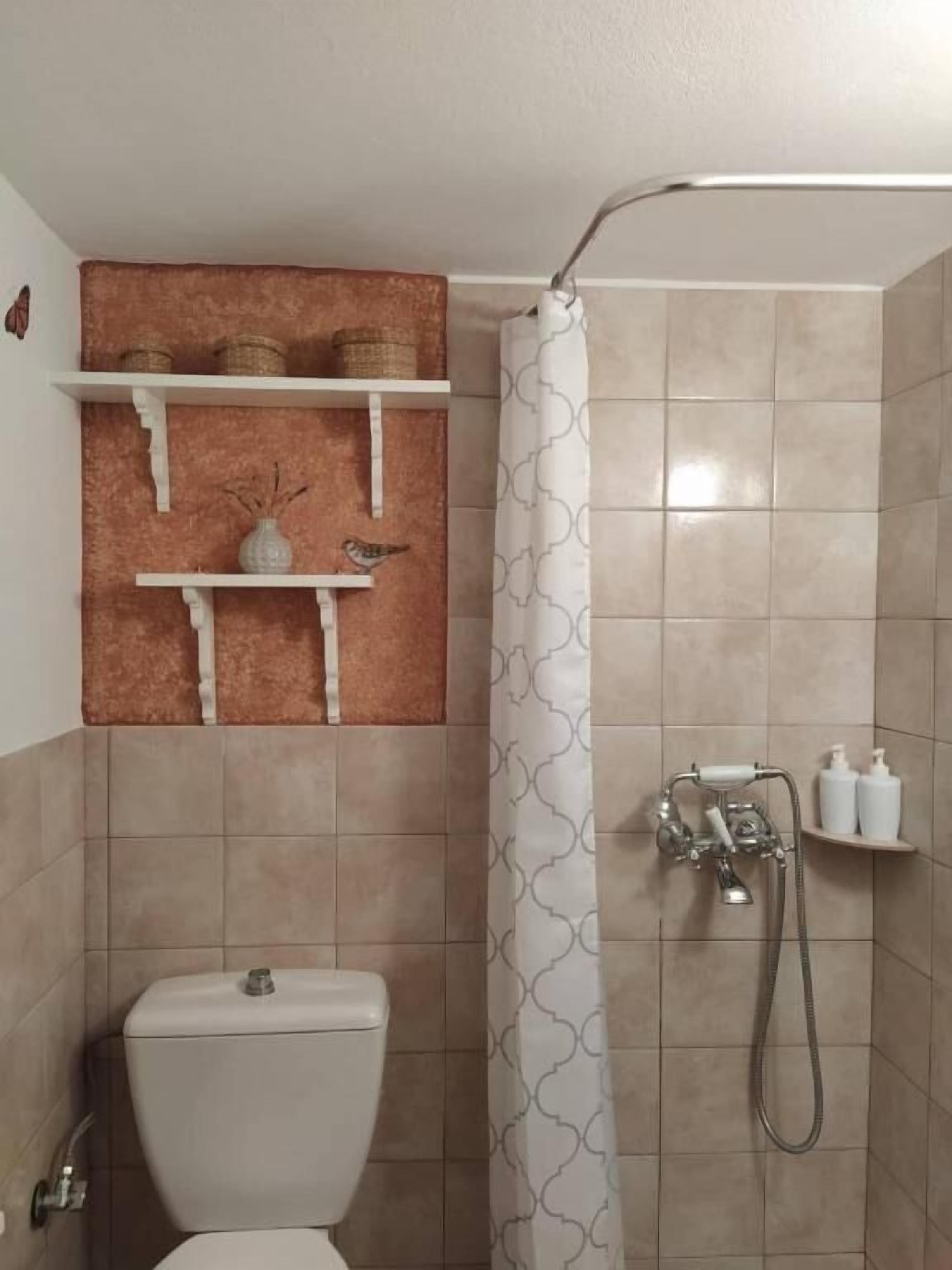 A bathroom with a toilet, a shower, and a shelf with toiletries.