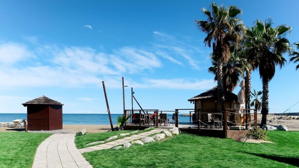 A beachside property with a paved walkway, a small wooden hut, a larger wooden structure with a deck, and palm trees.