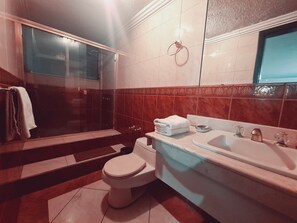 Un bagno con doccia vetrata, un water e un lavandino con specchio.