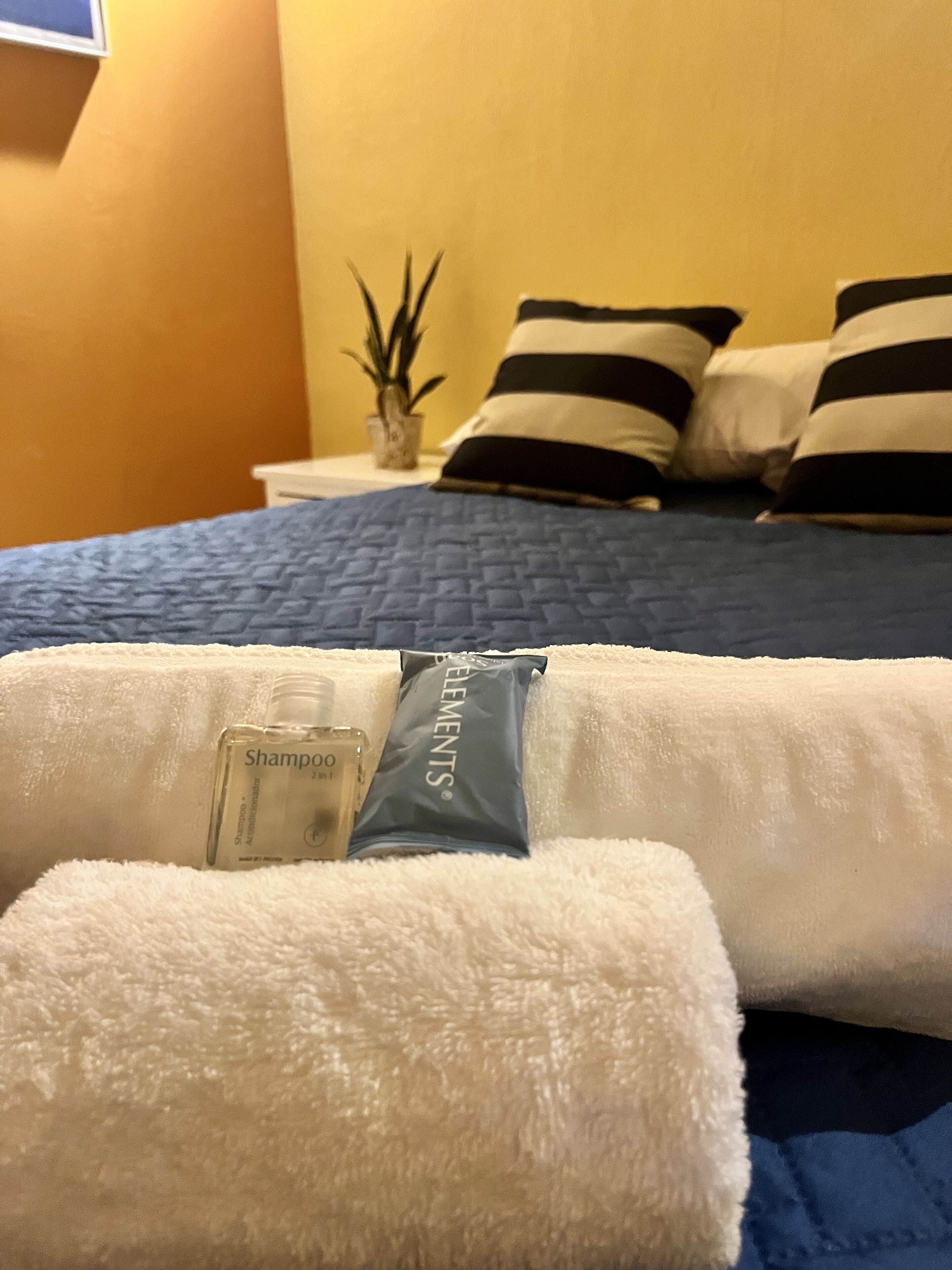 华丽客房 | 浴室 | 淋浴设施、大花洒淋浴喷头、肥皂、洗发水