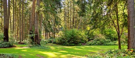 المنطقة المحيطة بالمنشأة