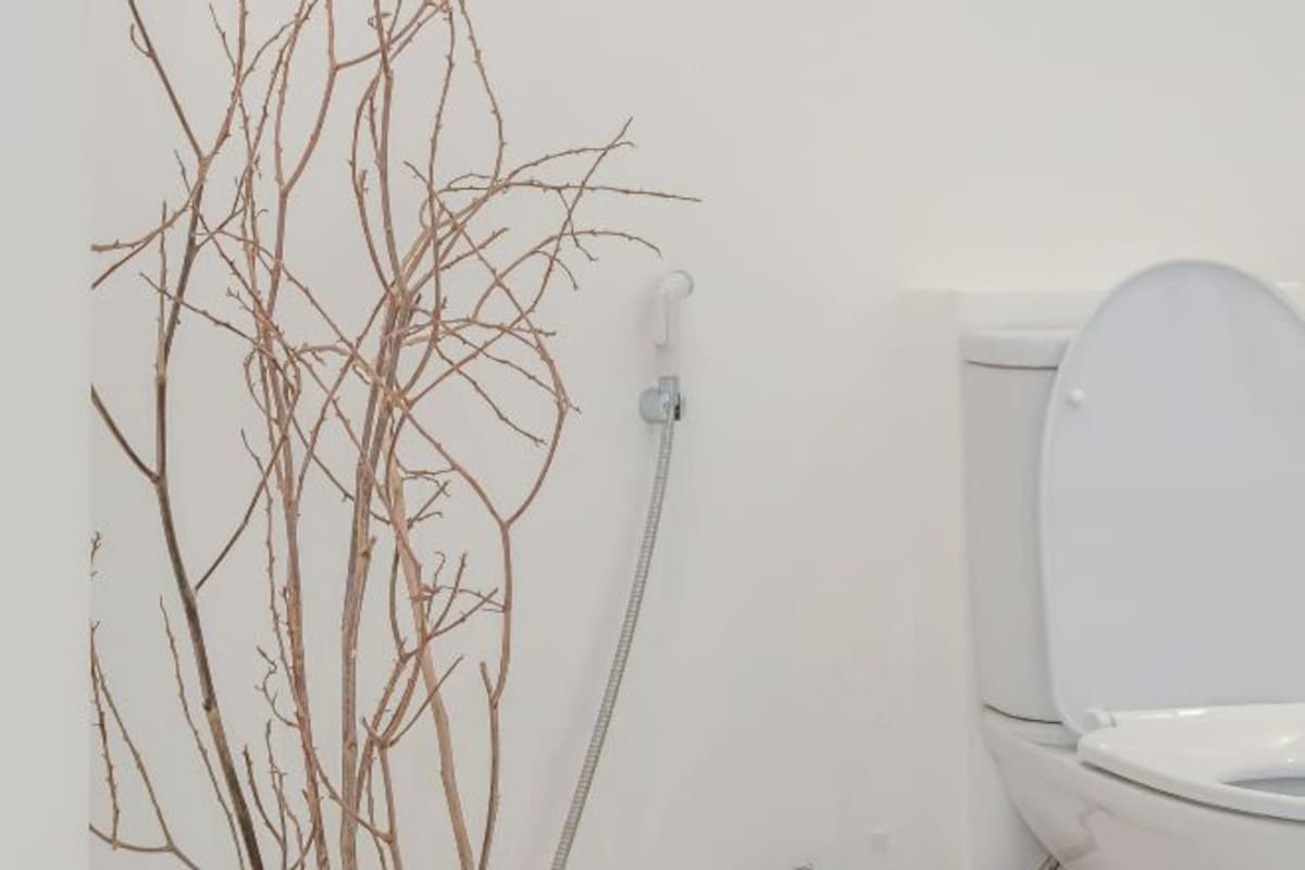 A bathroom with a toilet, a shower, and a plant.