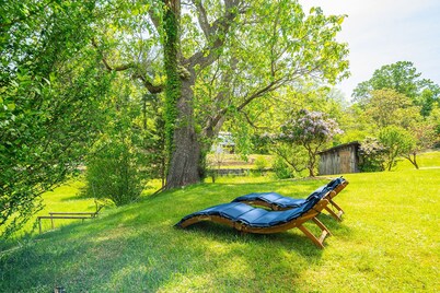 Mountain Serene Views and Creek-side Charm - Pet Friendly