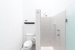 Ducha, cabezal de ducha tipo lluvia, secador de pelo, toallas