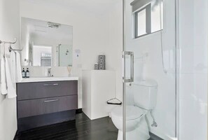 Ducha, toallas, shampoo, papel higiénico