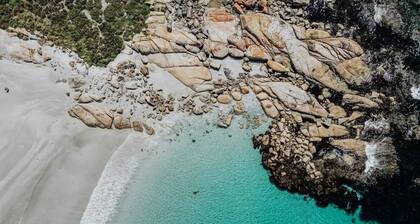 OceanFront - Absolute Waterfront