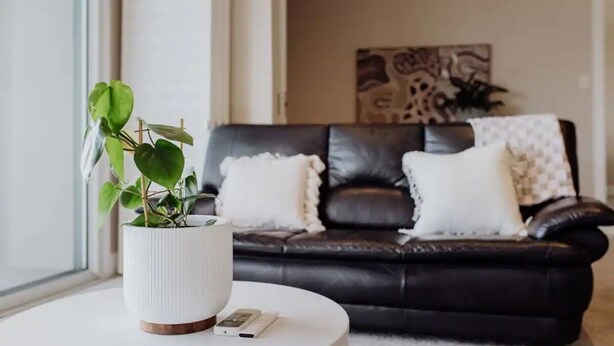 A living room with a black leather sofa, white cushions, a white potted plant, and a white round table with a remote control. - Haven on James - Luxurious Ocean Vista (Glamorgan-Spring Bay)