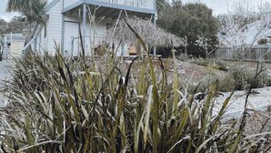 A white two-story house with a balcony, surrounded by dry vegetation and trees. - Barefoot Bungalow | Cozy Bicheno Hideaway | (Glamorgan-Spring Bay)