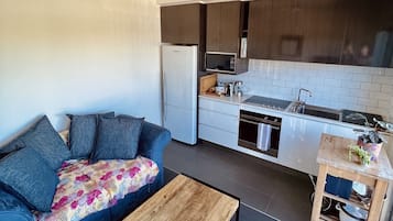 Fridge, microwave, oven, coffee/tea maker