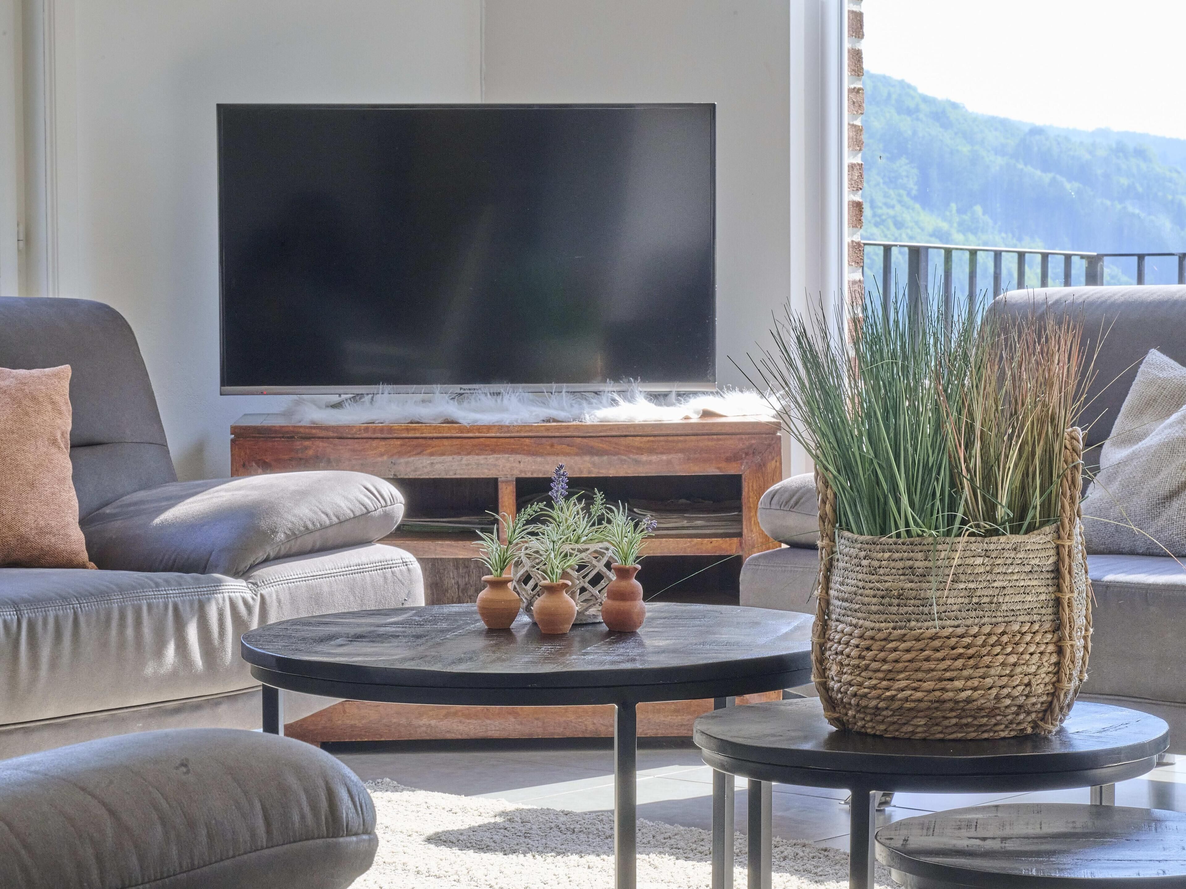 Télévision, cheminée, lecteur de DVD, table de tennis de table