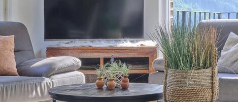 Televisión, chimenea, reproductor de DVD y tenis de mesa