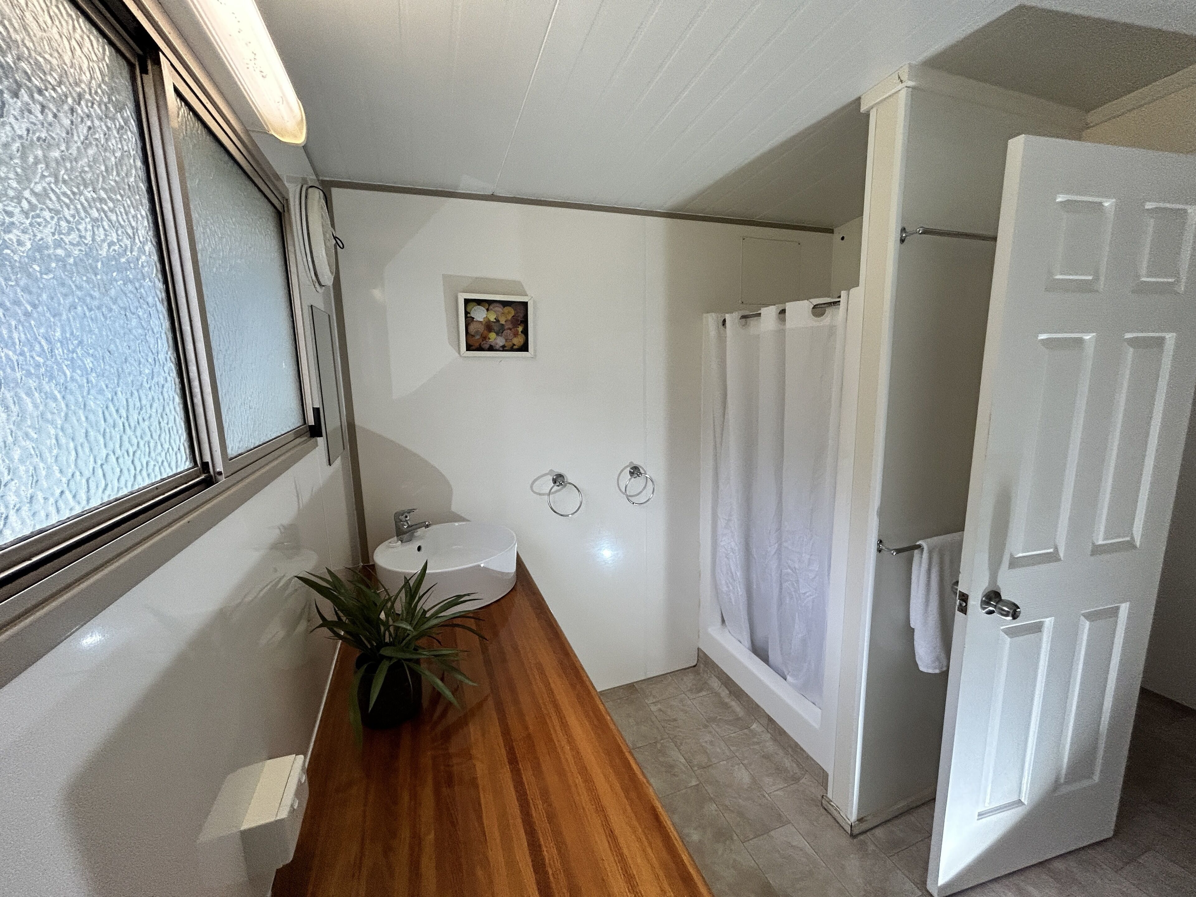 A bathroom with a wooden vanity, a sink, a small potted plant, a shower curtain, and a door.