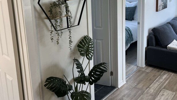 A hallway with a potted plant, a geometric wall shelf, and a door leading to a bedroom.