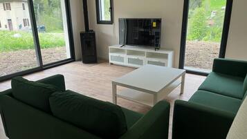 TV connectée, cheminée, lecteur de DVD