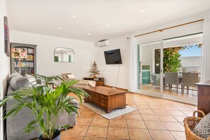 Älytelevisio, DVD-soitin