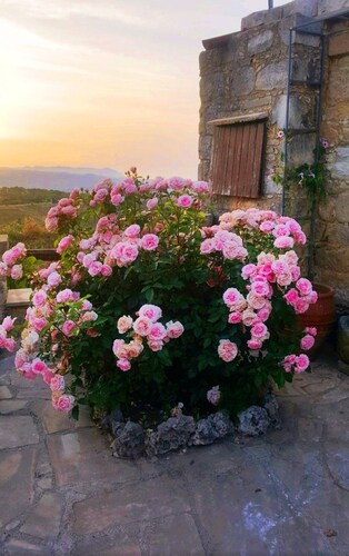 The Hideaway - A Paradise of Bird Song - Panoramic Views - Roof Top Hot Tub