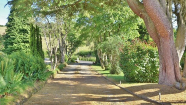 Un chemin pavé, bordé d’arbres et de verdure, qui mène vers un point situé au loin.