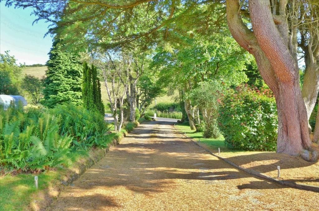 Un sentier bordé d’arbres et de fougères, qui mène à un point de vue éloigné.