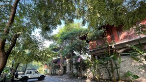 A cobblestone driveway leading to a traditional building with stone walls and a red roof, surrounded by lush greenery and trees. - Djawata resort & gallery  (Bangunjiwo)