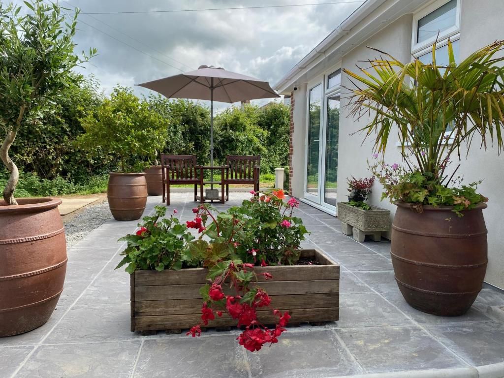 Un patio exterior con plantas en macetas, un banco de madera y una sombrilla.
