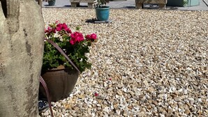 A house with a tiled roof, a gravel driveway, and various potted plants and flowers. - Toppesfield House (Bude)
