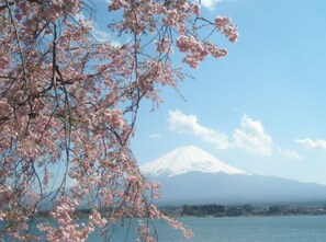 Beach - MtFuji and Lake Kawaguchi Ftype room for 2 peopl / Minamitsuru-gun Yamanashi (Minamitsuru-gun)