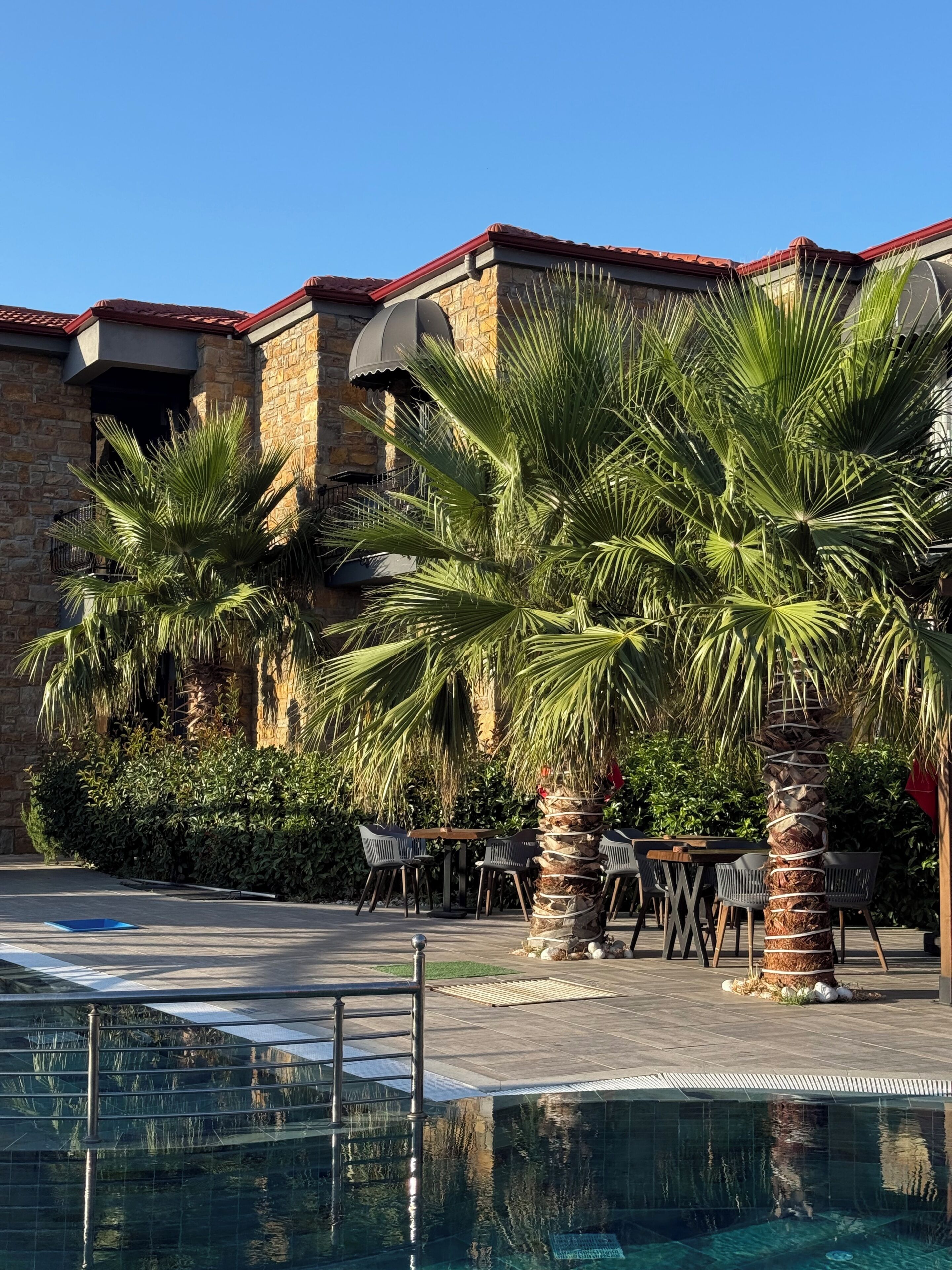 Un área junto a la piscina con un edificio de piedra, palmeras y mobiliario exterior.