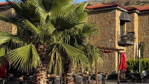 A pool area with a stone building, palm trees, and outdoor seating. - Agios Hotel (Gökçeada)