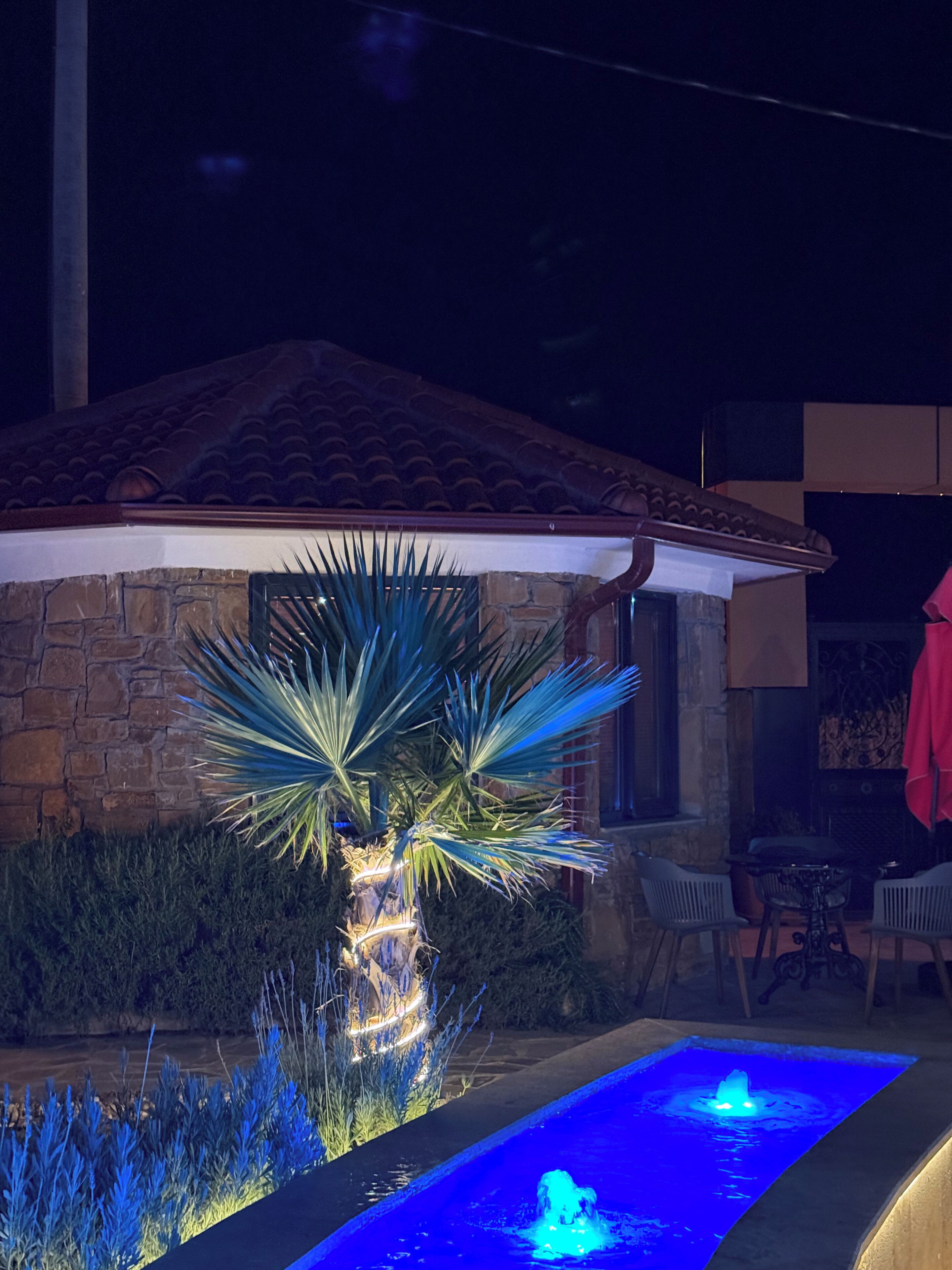 A stone building with a tiled roof, a palm tree, and a water feature with lights.