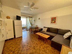 TV - 2-room apt, sleeps 6, parking, near beach (Saint-Cyprien)