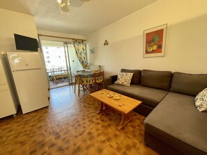 TV - 2-room apt, sleeps 6, parking, near beach (Saint-Cyprien)