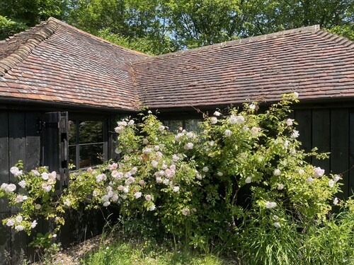 Forest cabin in the Kent countryside – pet friendly!