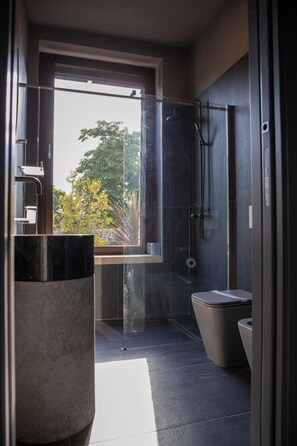 Un baño moderno con cabina de ducha de vidrio, un lavamanos de mármol grande y un inodoro.