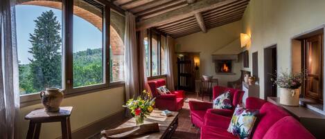 Televisión y chimenea