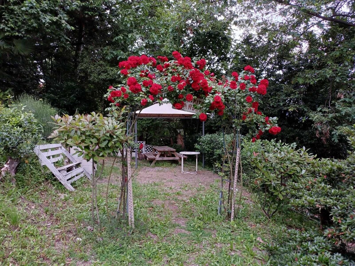 Bild für Gastgeberprofil