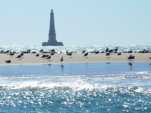 Une plage avec une tour imposante qui se dresse à l'arrière-plan.