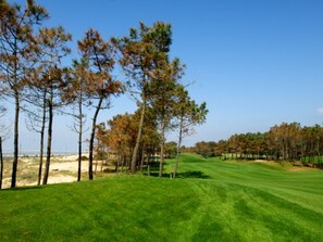 Golf - 3-Room Villa 150m from the Sea with Patio and Parking (La Palmyre)