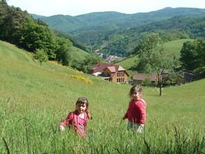Terrain de lâhĂ©bergement