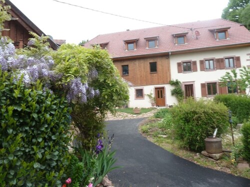 Au Centre de L'alsace et Déjà Dans les Vosges B