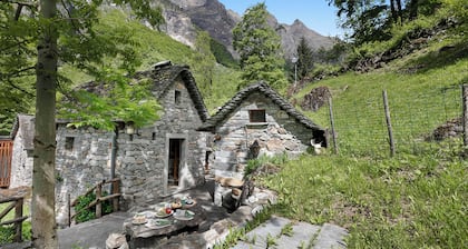 Rustico Savinera