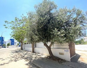 Una calle bordeada de árboles con un edificio blanco que muestra un letrero con la inscripción 'DEMARBLOOM Blossom Villa OPSP'.