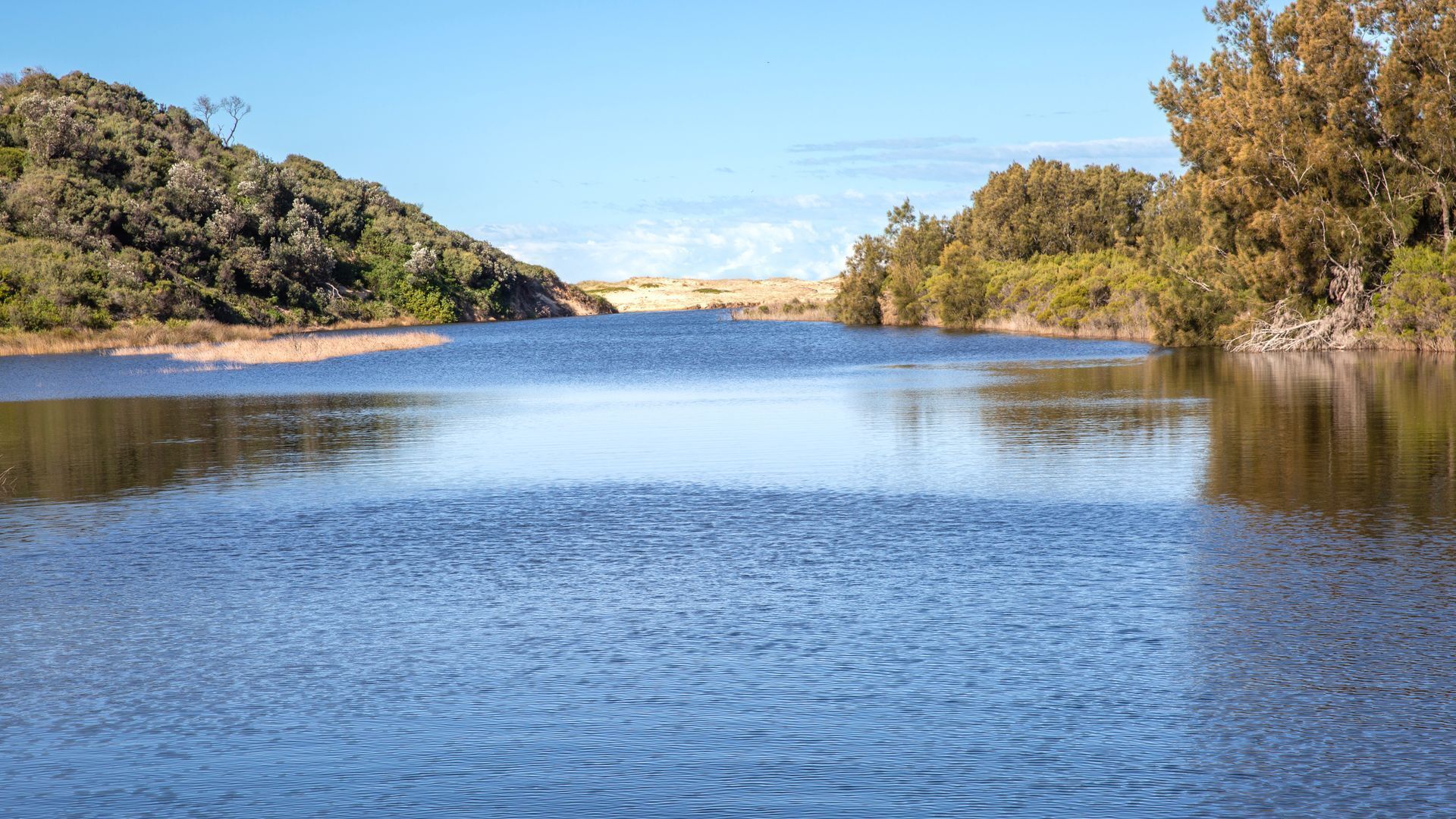 A calm lake surrounded by dense forest.