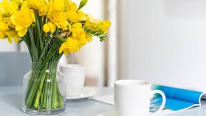 A clear glass vase with yellow flowers on a table. - PBC | Cosy 1-Bed Apt - Earl's Court 119 - EC3 (London)