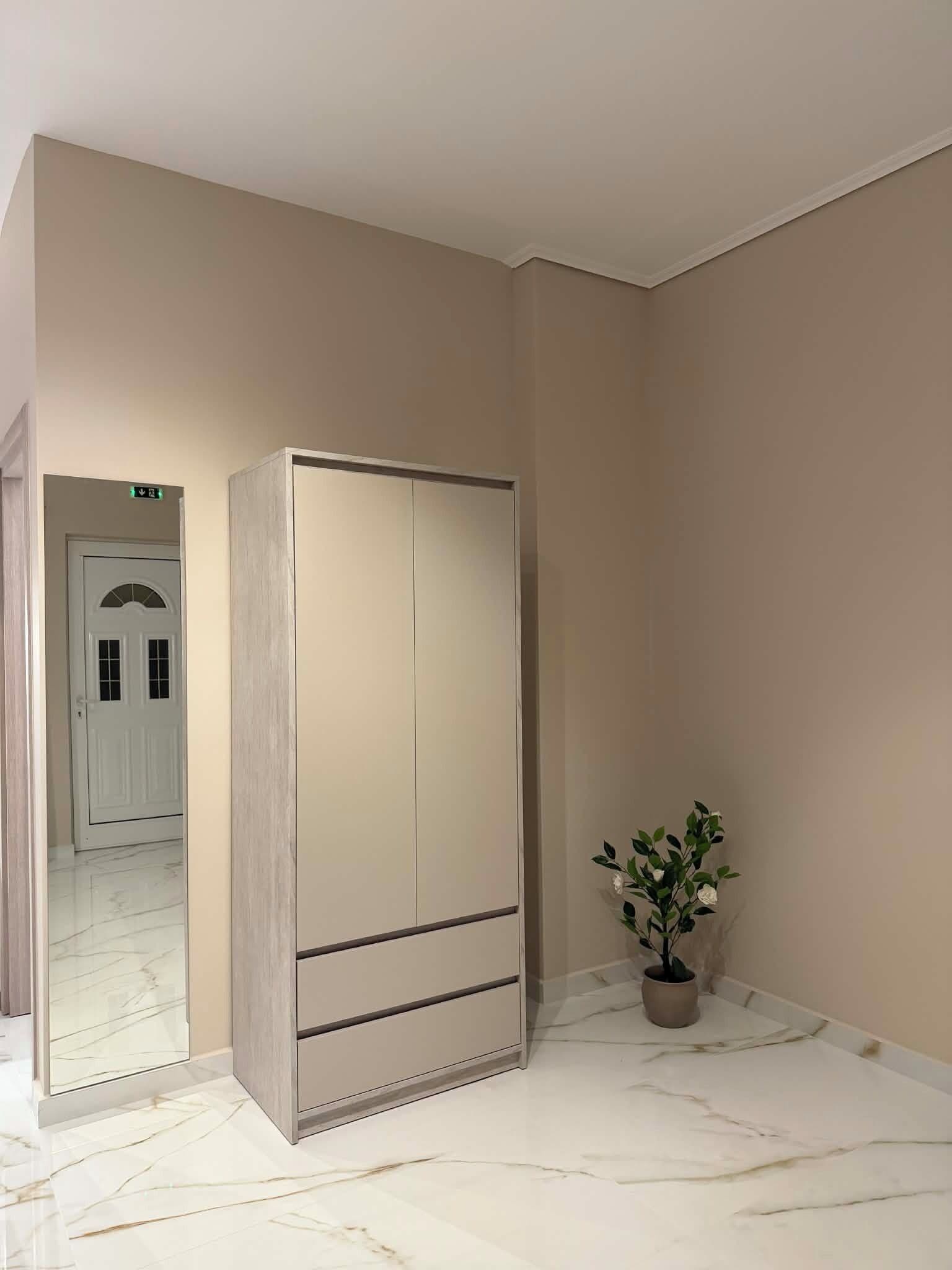 A room with a large wardrobe, a potted plant, and a door leading to another room.